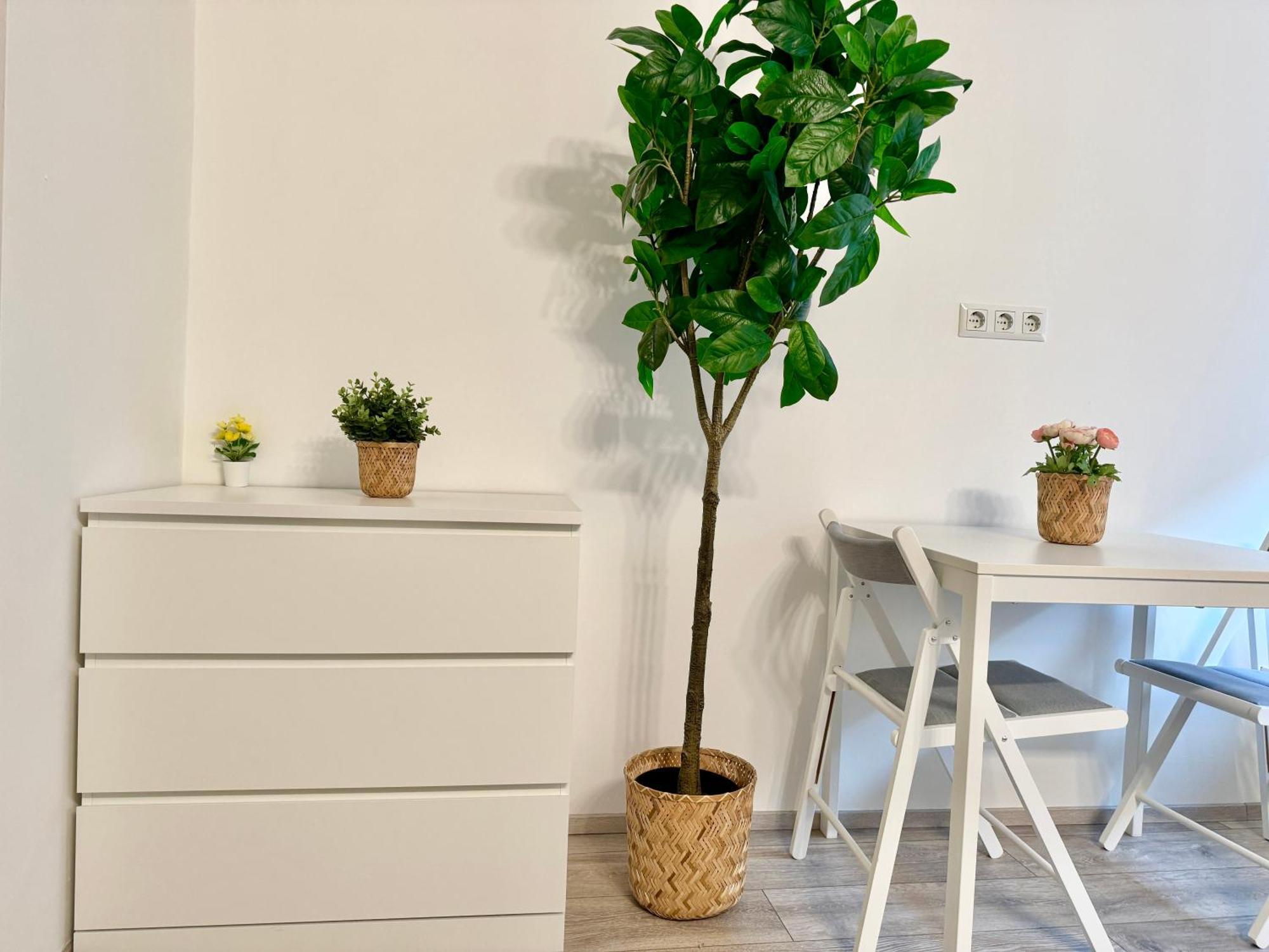 וינה Stylish Schonbrunn Apartments - Free Underground Parking מראה חיצוני תמונה