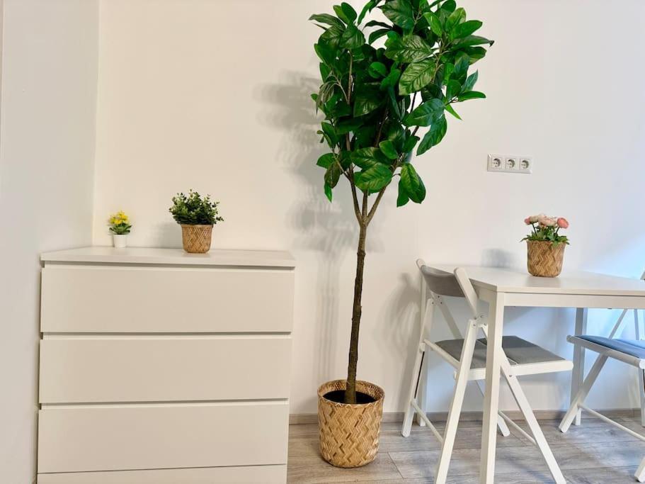 וינה Stylish Schonbrunn Apartments - Free Underground Parking מראה חיצוני תמונה